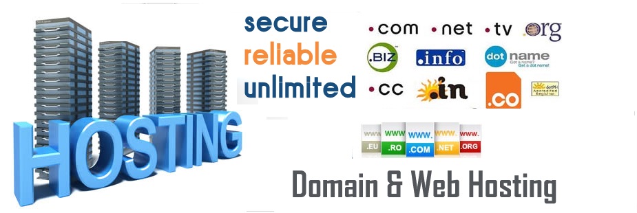 Domain Booking and Web Hosting Services Bangalore, India ...